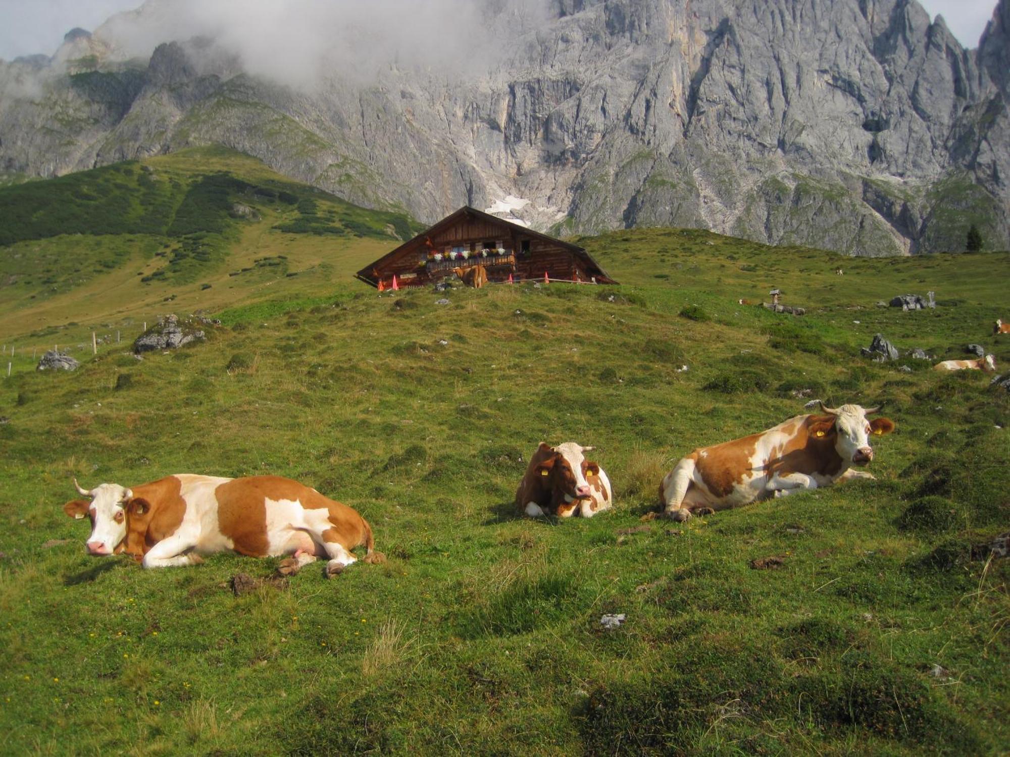 莫尔特尔古特酒店 Mühlbach am Hochkönig 外观 照片